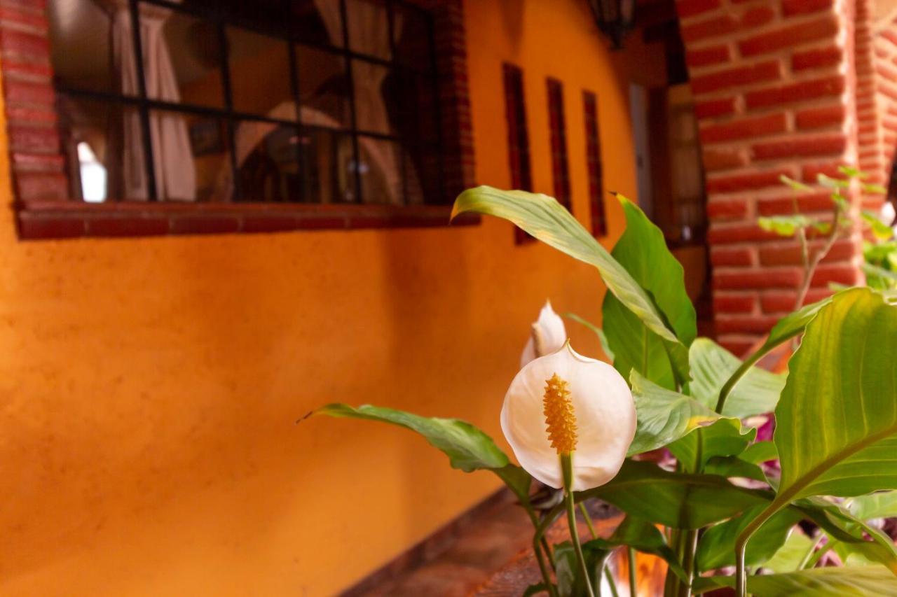 Mex Suites Casa Azul B&B Mexico City Exterior photo